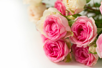 Obraz na płótnie Canvas A bouquet of pink roses on a white background.
