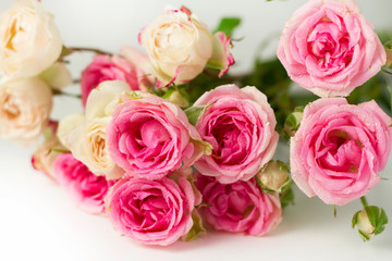 Fototapeta premium A bouquet of pink roses on a white background.