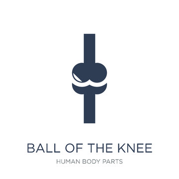 Ball of the knee icon. Trendy flat vector Ball of the knee icon on white background from Human Body Parts collection