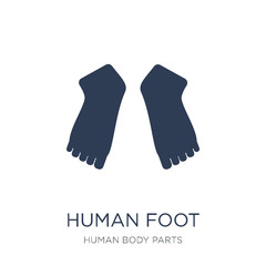 Human Foot icon. Trendy flat vector Human Foot icon on white background from Human Body Parts collection