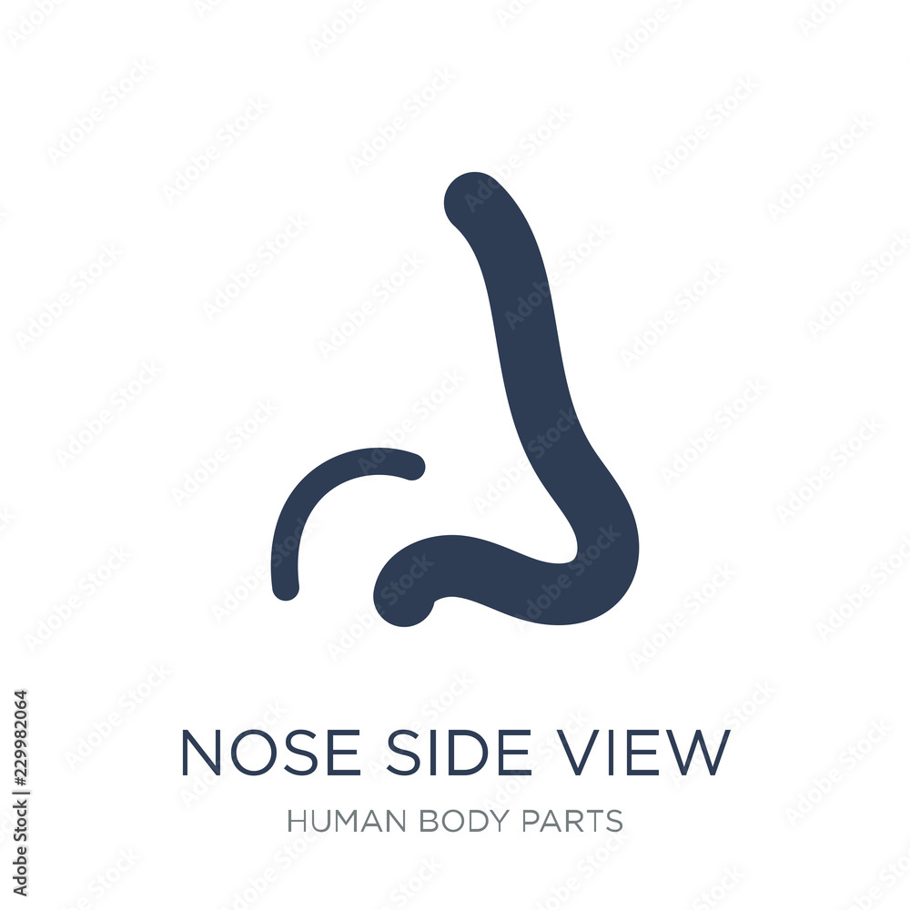 Poster nose side view icon. trendy flat vector nose side view icon on white background from human body part