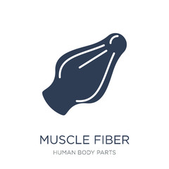 Muscle Fiber icon. Trendy flat vector Muscle Fiber icon on white background from Human Body Parts collection