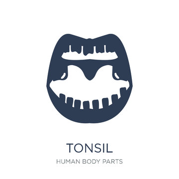 Tonsil icon. Trendy flat vector Tonsil icon on white background from Human Body Parts collection