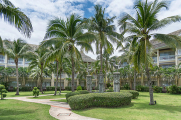 Fototapeta premium trees in park
