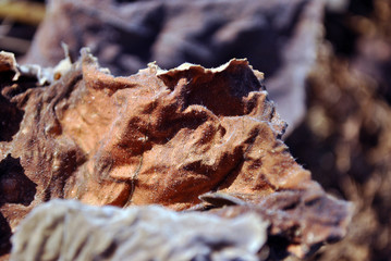 Dry golden-brown leaf weird texture, natural organic  background, close up detail, soft sepia wavy sandy surface