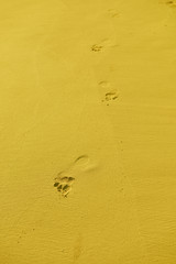 Fototapeta na wymiar Footprint on the sand. Holiday, creative photography of the exotic, Caribbean beach in Bavaro village near Punta Cana Airport in Dominican Republic.