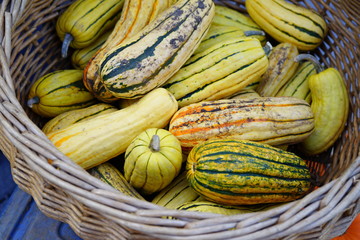 Basket of striped yellow and green delicata squash in the fall