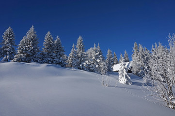 W drodze na Gorc zima