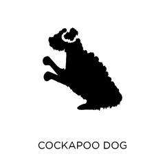 Cockapoo dog icon. Cockapoo dog symbol design from Dogs collection.