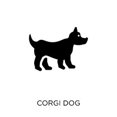 Corgi dog icon. Corgi dog symbol design from Dogs collection.