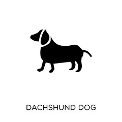 Dachshund dog icon. Dachshund dog symbol design from Dogs collection.