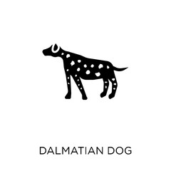 Dalmatian dog icon. Dalmatian dog symbol design from Dogs collection.