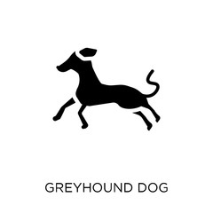 Greyhound dog icon. Greyhound dog symbol design from Dogs collection.