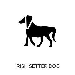 Irish Setter dog icon. Irish Setter dog symbol design from Dogs collection.
