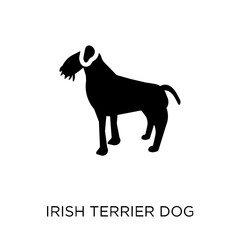 Irish Terrier dog icon. Irish Terrier dog symbol design from Dogs collection.