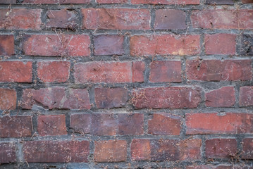 old brick wall background