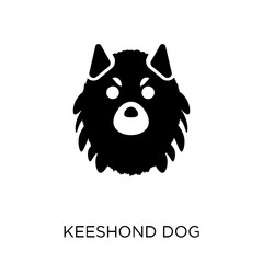Keeshond dog icon. Keeshond dog symbol design from Dogs collection.