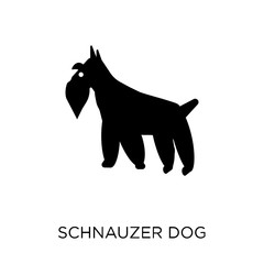 Schnauzer dog icon. Schnauzer dog symbol design from Dogs collection.