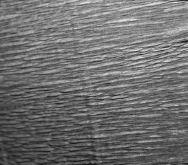 бумажная текстура в черно белом цвете