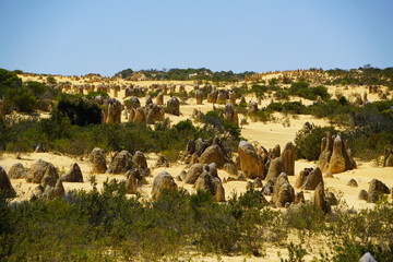 Fototapeta na wymiar Nambung National Park Australia