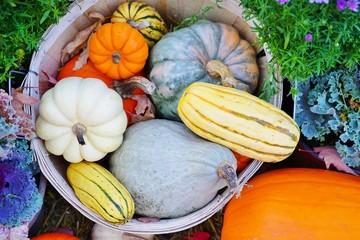 Display of colorful decorative heirloom pumpkins and gourds in the fall