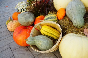Display of colorful decorative heirloom pumpkins and gourds in the fall