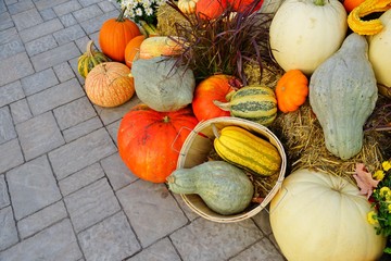 Display of colorful decorative heirloom pumpkins and gourds in the fall