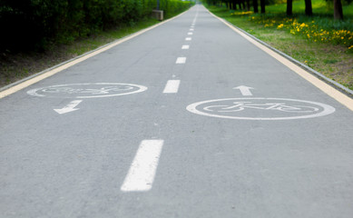 Painted signs on asphalt for bicycle dedicated lanes. A separate bike path in the city