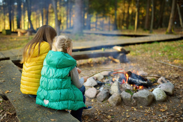 Cute little sisters roasting hotdogs on sticks at bonfire. Children having fun at camp fire....