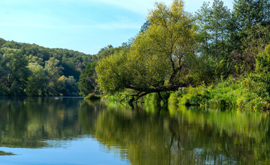 Autumn evening landscape with the river and a beautiful tree