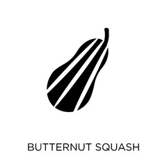 Butternut squash icon. Butternut squash symbol design from Fruit and vegetables collection.