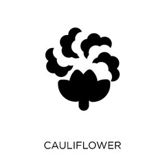 Cauliflower icon. Cauliflower symbol design from Fruit and vegetables collection.