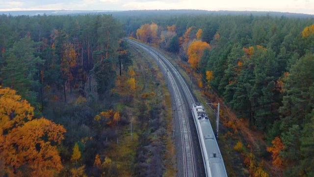 Aerial following shot of a high-speed train moving fast through the autumn forest