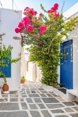 Fototapeta na wymiar Greek alley with summer flowers in Chora. Serifos island. Cyclades, Greece.
