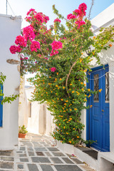 Greek street with summer flowers in Chora. Serifos island. Cyclades, Greece.