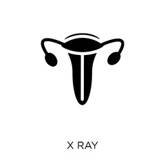 X ray icon. X ray symbol design from Health and medical collection.