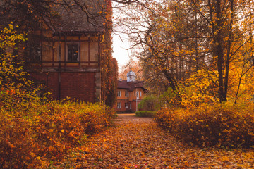 Manor house with trees in autumn colors and fall trees. Old Victorian Haunted House long abandoned to the ghosts. Abandoned house in autumn wood.