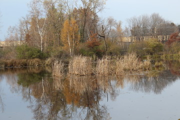 Fototapeta premium reflection of island