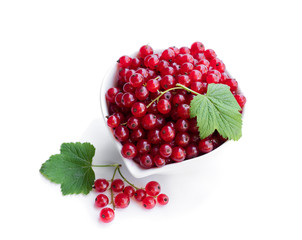 Fresh red currant in ceramic bowl isolated on white