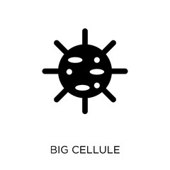 Obraz premium Big Cellule icon. Big Cellule symbol design from Human Body Parts collection. Simple element vector illustration. Can be used in web and mobile.