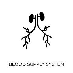 Blood Supply System icon. Blood Supply System symbol design from Human Body Parts collection. Simple element vector illustration. Can be used in web and mobile.