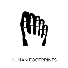 Human footprints icon. Human footprints symbol design from Human Body Parts collection. Simple element vector illustration. Can be used in web and mobile.