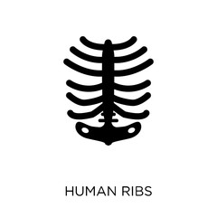 Human Ribs icon. Human Ribs symbol design from Human Body Parts collection. Simple element vector illustration. Can be used in web and mobile.