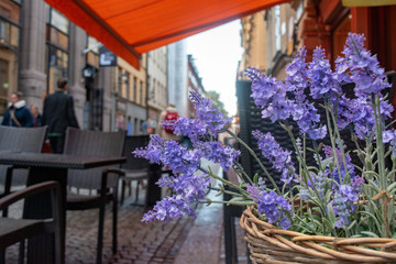 Fototapeta na wymiar lavender bouquet at cafe terrace