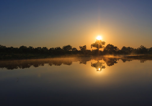 Sunrise over the waters with reflection of trees in the Okavango Delta, Botswana.