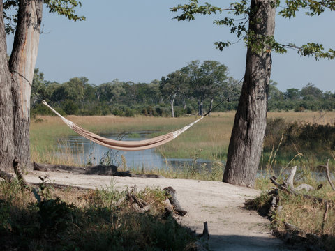 Hammock between trees with a view over a swamp in Botswana.