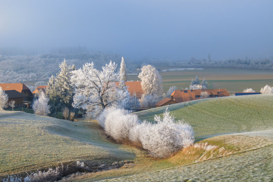 Frosty trees next to a farm in the countryside at Riedbach near Bern, Switzerland.