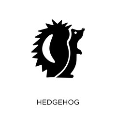 Hedgehog icon. Hedgehog symbol design from Animals collection.