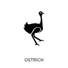 Ostrich icon. Ostrich symbol design from Animals collection. - 229997255