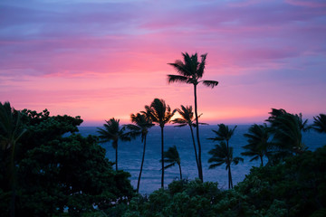 Sunset Sky over Ocean with Sun on Horizon and Palm Trees Silhouette in Foreground